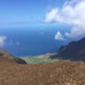 Meet your Posher, Kamalei